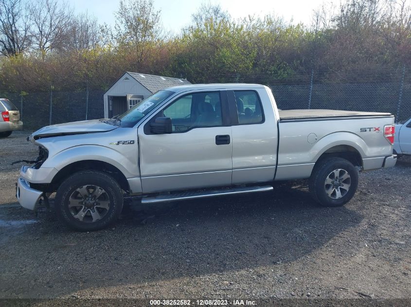 2013 FORD F-150 STX - 1FTFX1EF0DFC53220