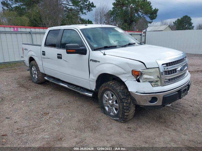 2013 FORD F-150 XLT - 1FTFW1EF0DKD41632