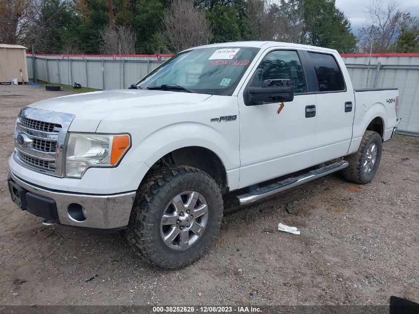 2013 FORD F-150 XLT - 1FTFW1EF0DKD41632