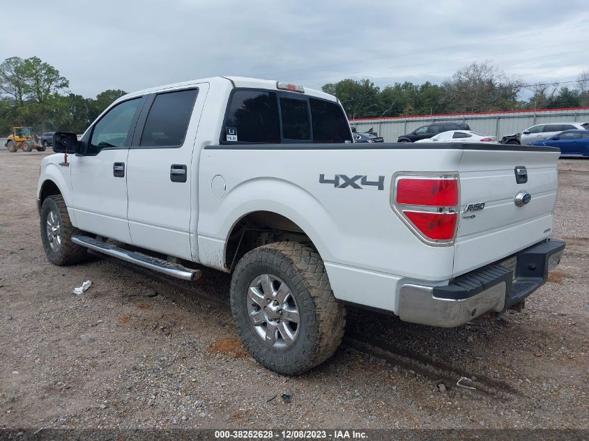 2013 FORD F-150 XLT - 1FTFW1EF0DKD41632