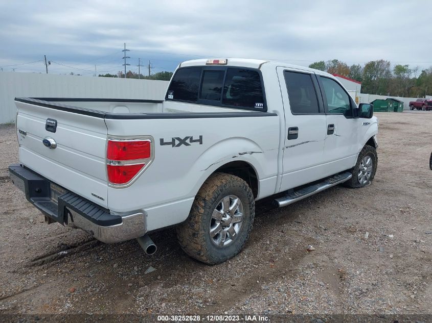 2013 FORD F-150 XLT - 1FTFW1EF0DKD41632