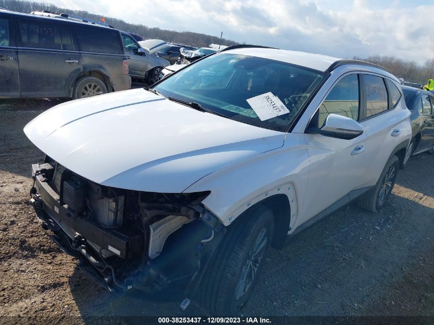2022 HYUNDAI TUCSON HYBRID BLUE KM8JBCA1XNU024762