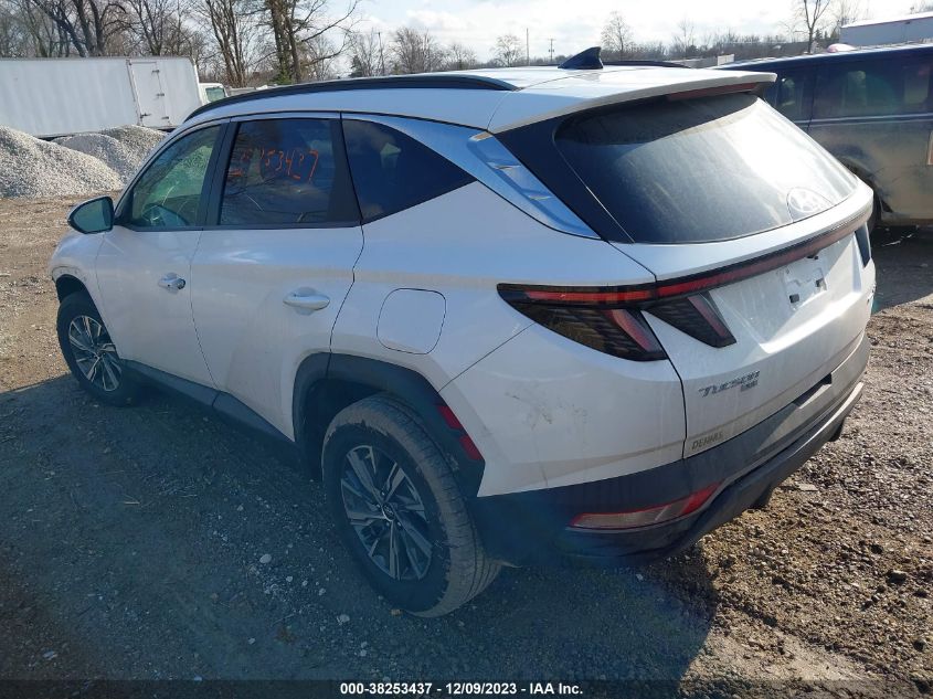 2022 HYUNDAI TUCSON HYBRID BLUE KM8JBCA1XNU024762
