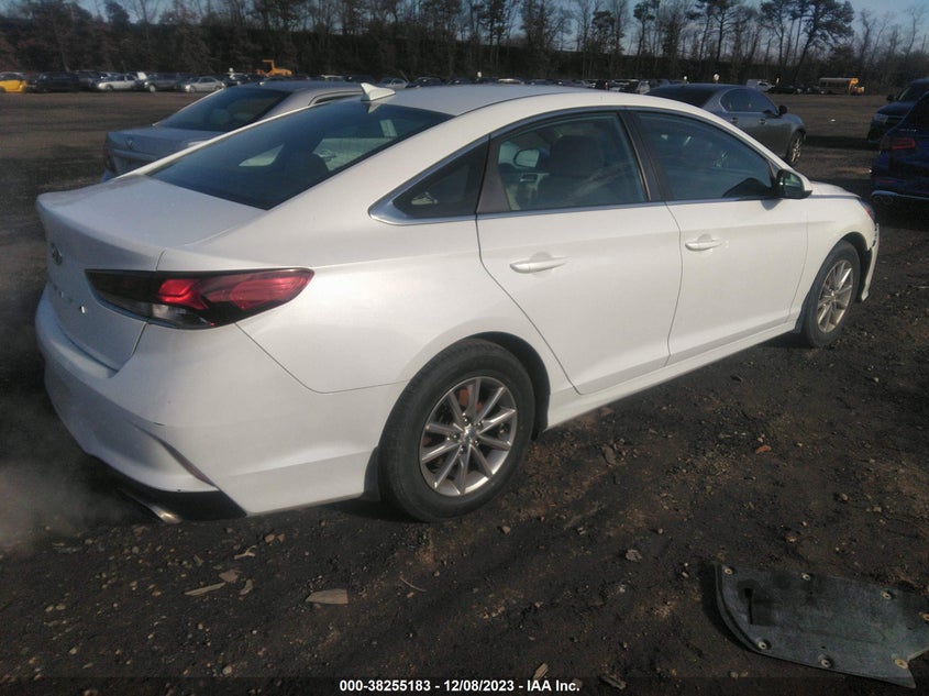 VIN 5NPE24AF1KH806607 2019 HYUNDAI SONATA SE