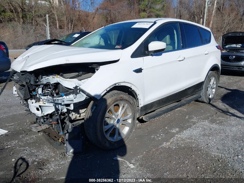 2019 FORD ESCAPE SE - 1FMCU9GD5KUB21922