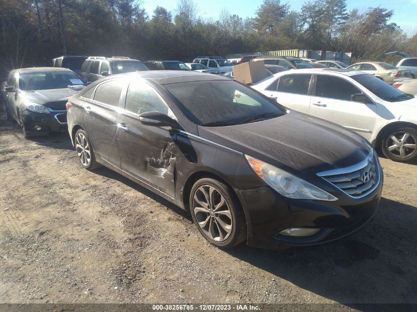 2013 HYUNDAI SONATA LIMITED - 5NPEC4AB0DH673836