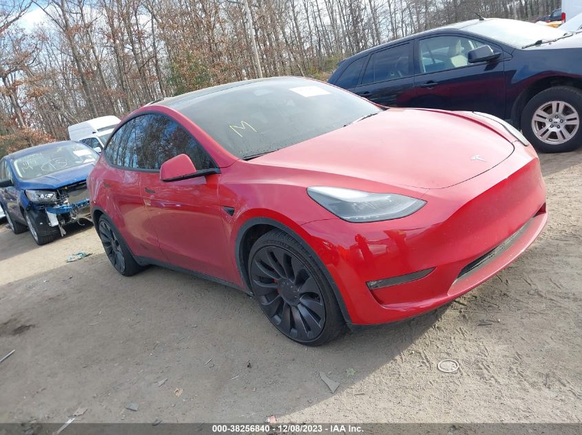 2023 TESLA MODEL Y - 7SAYGDEF8PF604543