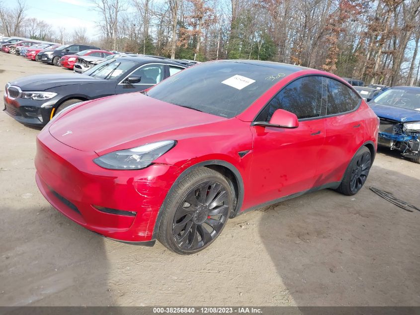2023 TESLA MODEL Y - 7SAYGDEF8PF604543