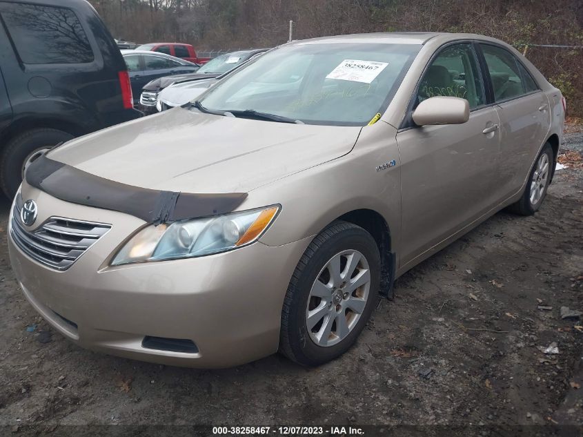 4T1BB46KX9U089600 | 2009 TOYOTA CAMRY HYBRID