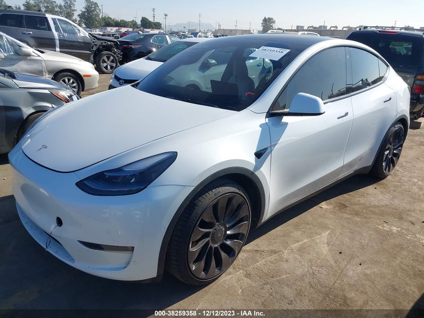 VIN 7SAYGDEF1NF388578 2022 TESLA MODEL Y