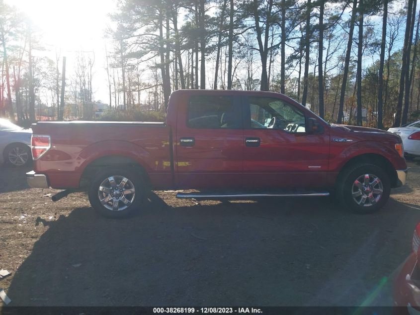 2014 FORD F-150 XLT - 1FTFW1CT7EKD97139