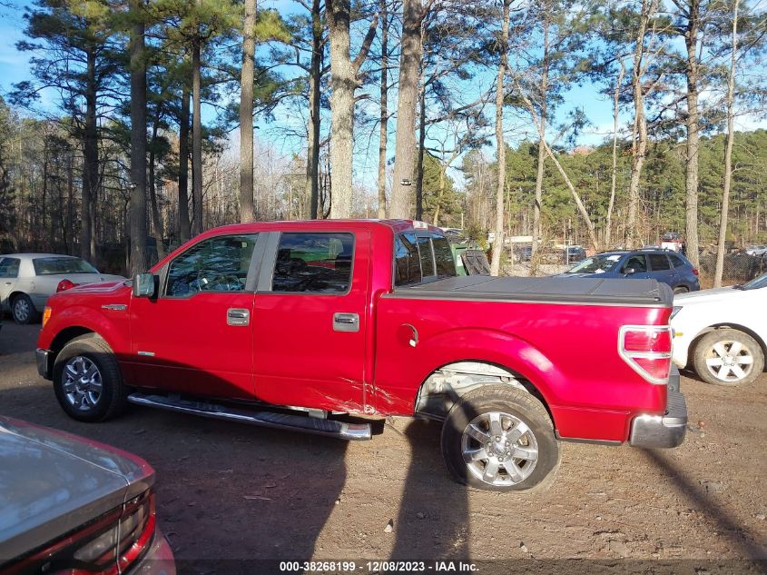 2014 FORD F-150 XLT - 1FTFW1CT7EKD97139