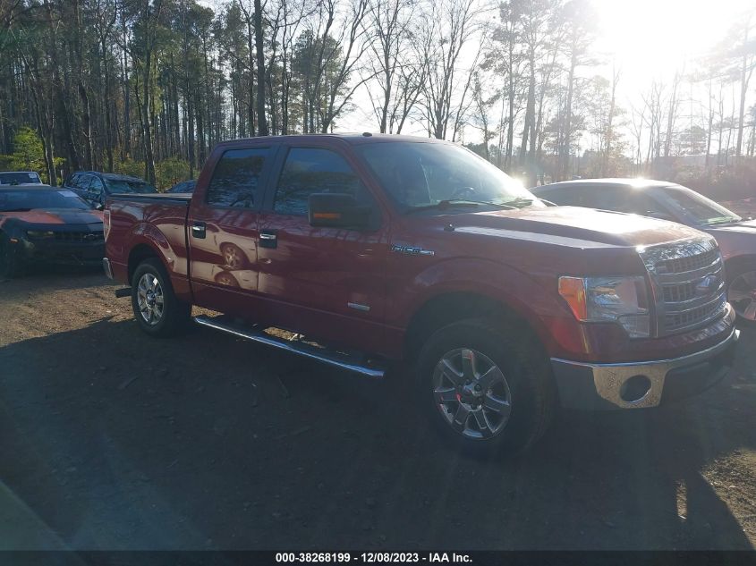 2014 FORD F-150 XLT - 1FTFW1CT7EKD97139