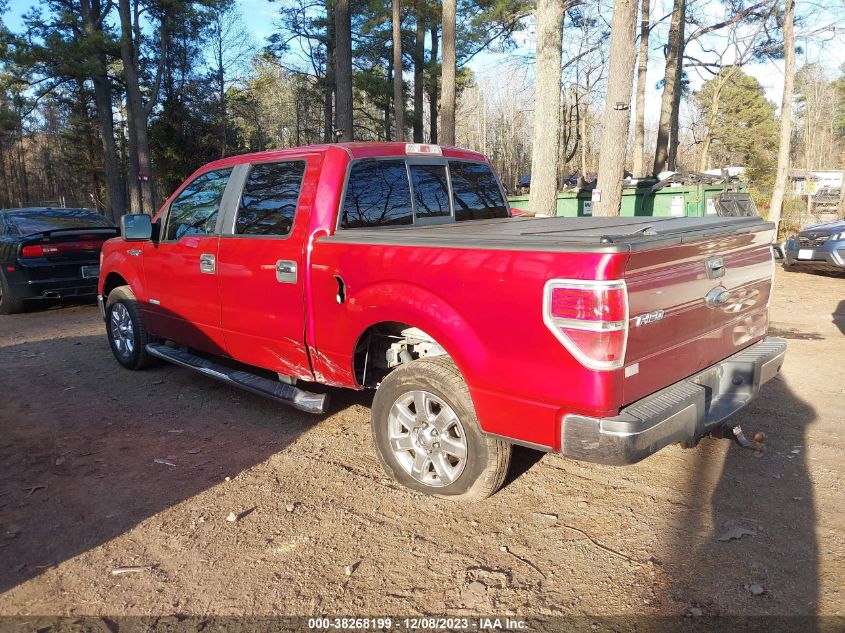 2014 FORD F-150 XLT - 1FTFW1CT7EKD97139