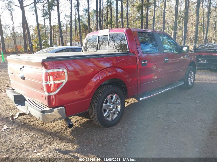 2014 FORD F-150 XLT - 1FTFW1CT7EKD97139