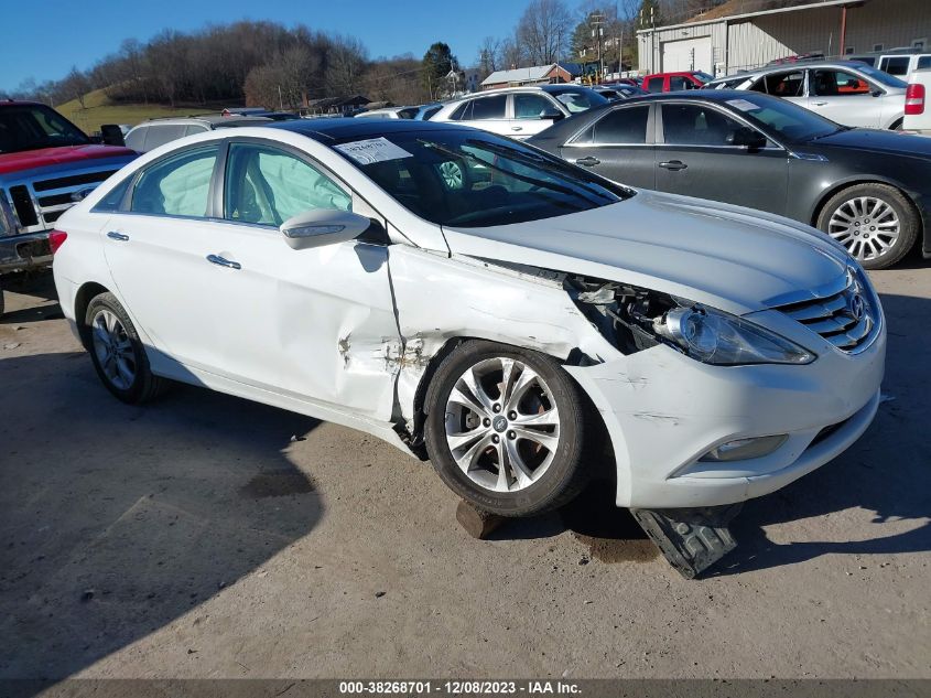 2013 HYUNDAI SONATA LIMITED - 5NPEC4AC1DH675510