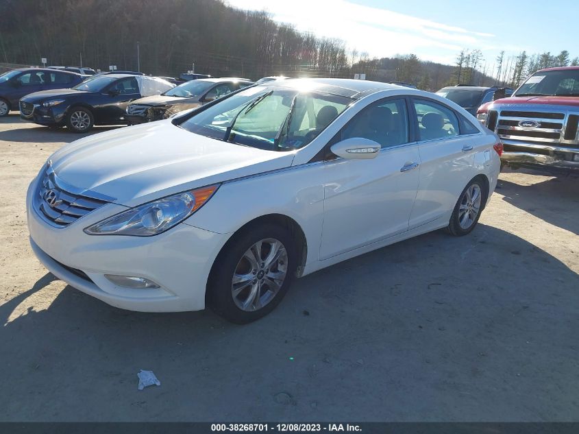 2013 HYUNDAI SONATA LIMITED - 5NPEC4AC1DH675510