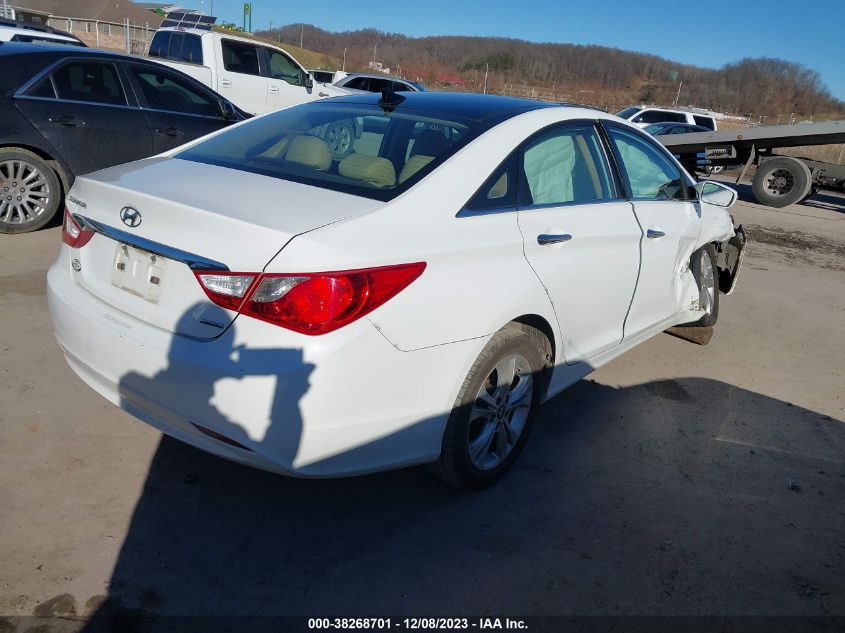 2013 HYUNDAI SONATA LIMITED - 5NPEC4AC1DH675510