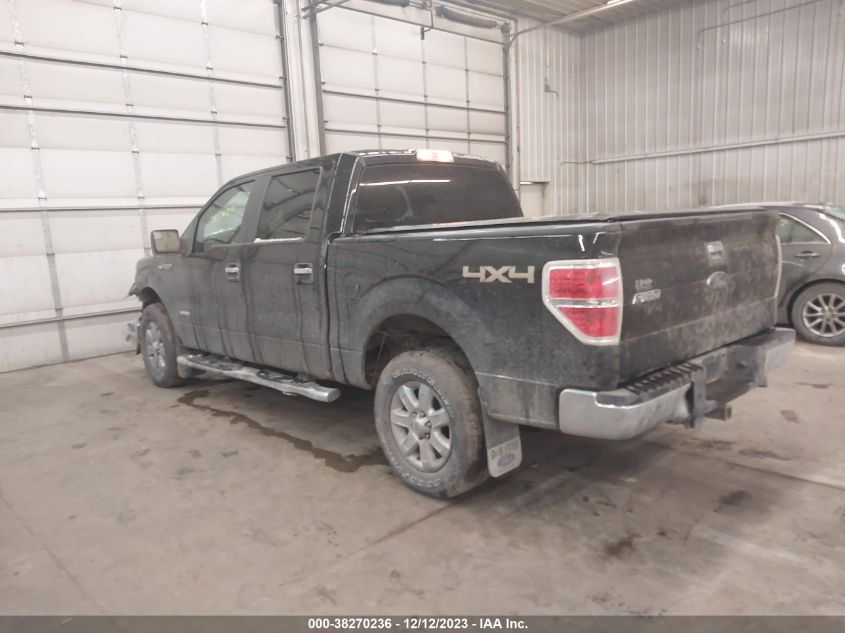 2013 FORD F-150 XLT - 1FTFW1ET9DFE05715