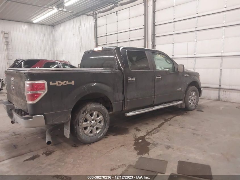 2013 FORD F-150 XLT - 1FTFW1ET9DFE05715