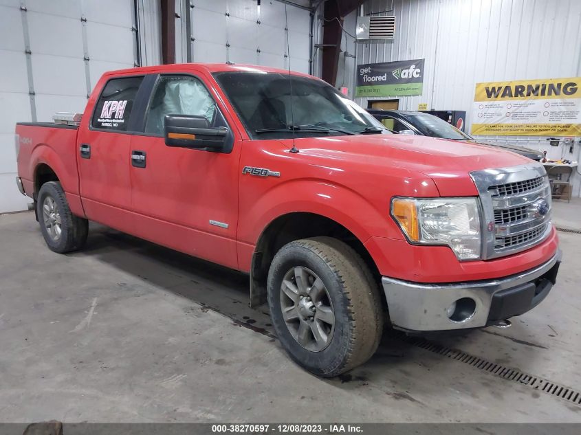 2013 FORD F-150 XLT - 1FTFW1ET4DKD48265