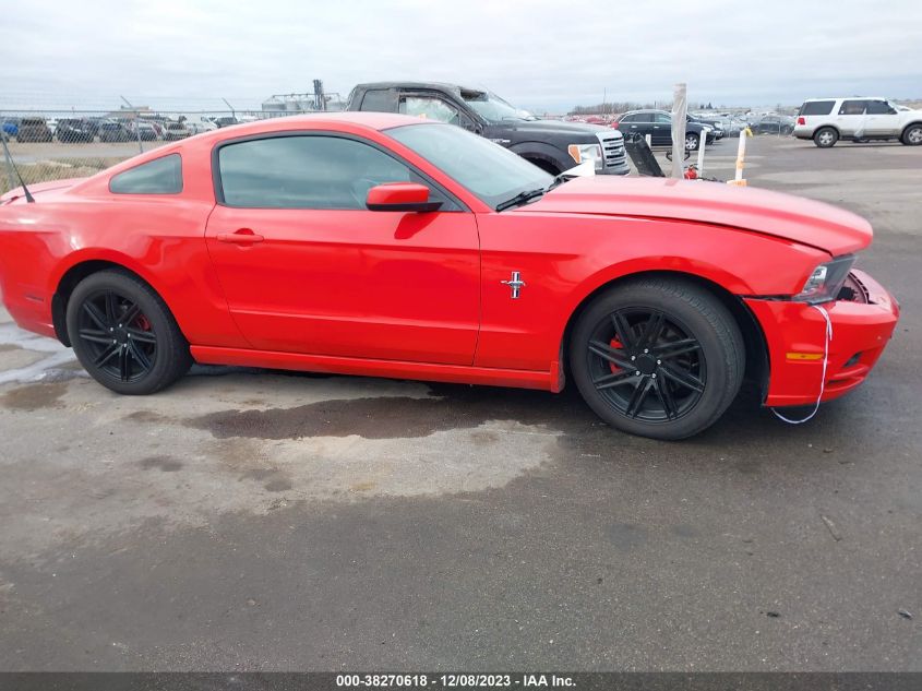 2014 FORD MUSTANG - 1ZVBP8AM1E5203717