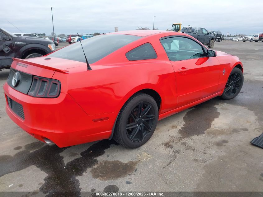 2014 FORD MUSTANG - 1ZVBP8AM1E5203717