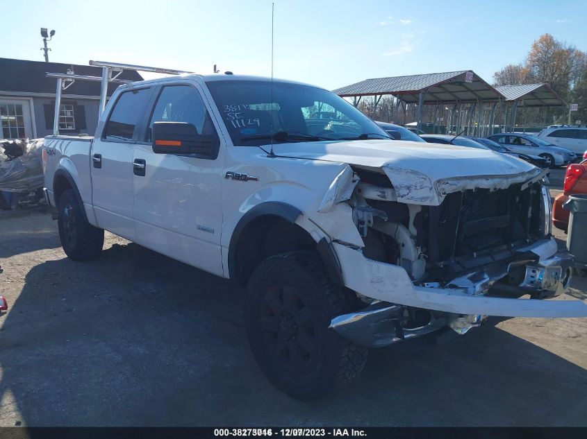 2013 FORD F-150 XLT - 1FTFW1ET0DFB42904