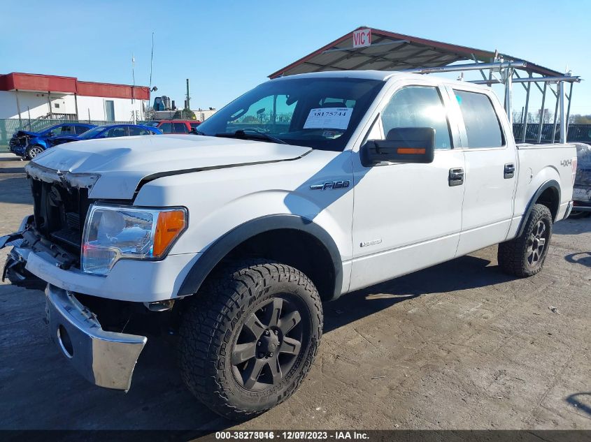 2013 FORD F-150 XLT - 1FTFW1ET0DFB42904