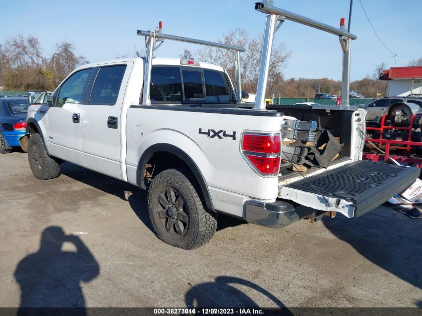 2013 FORD F-150 XLT - 1FTFW1ET0DFB42904