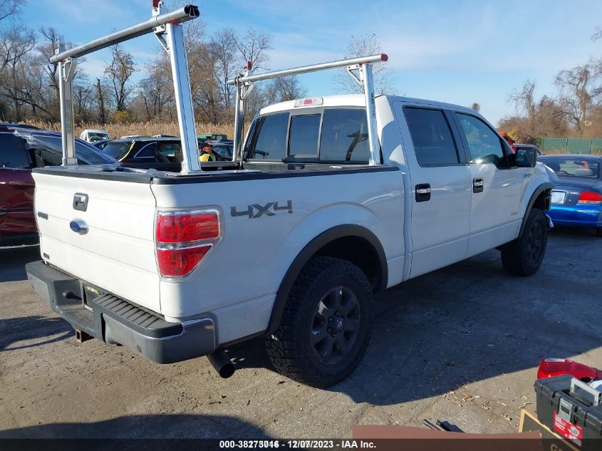 2013 FORD F-150 XLT - 1FTFW1ET0DFB42904