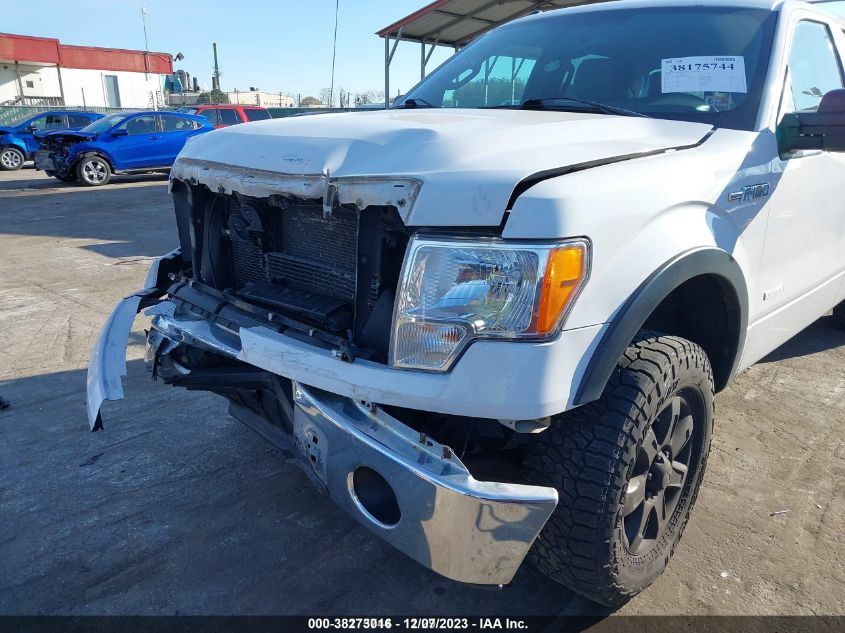 2013 FORD F-150 XLT - 1FTFW1ET0DFB42904