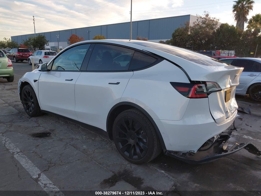 2021 TESLA MODEL Y U   U(VIN: 5YJYGDEE7MF065252