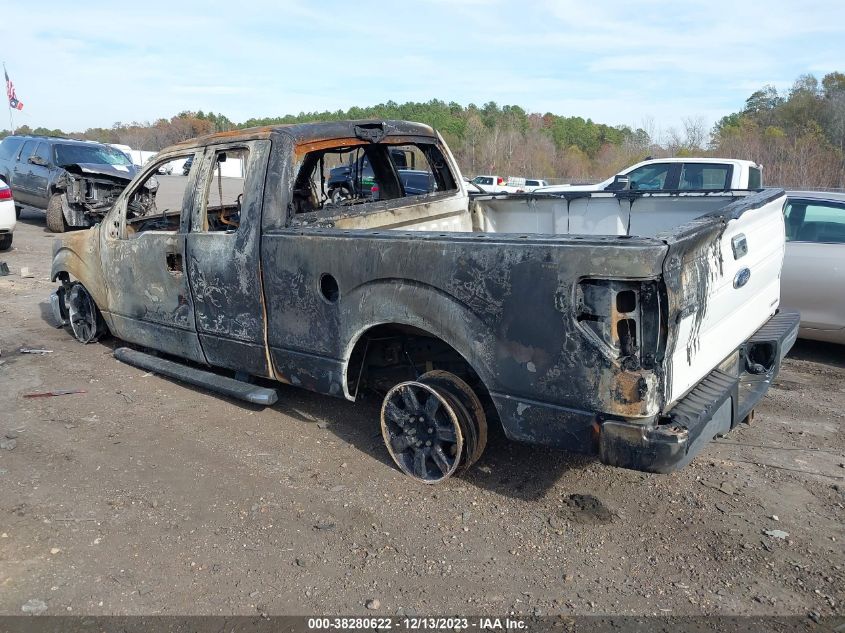2013 FORD F-150 XLT - 1FTEX1CM5DFD37918