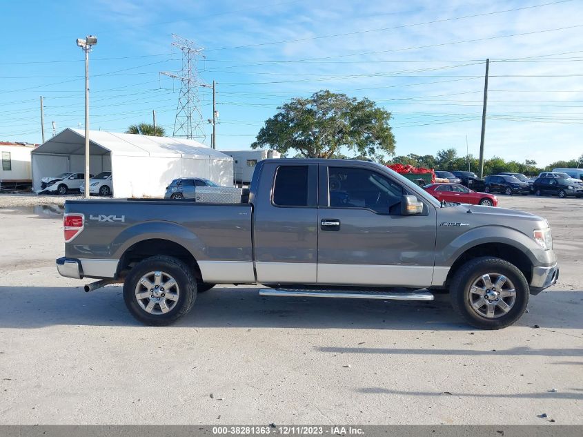 2014 FORD F-150 XLT - 1FTFX1EF2EFB95192