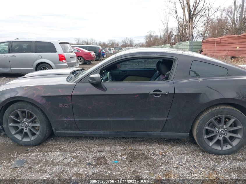 1ZVBP8CF1C5200814 2012 FORD MUSTANG, photo no. 14