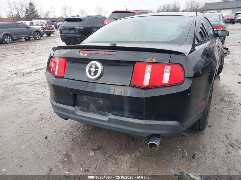 1ZVBP8ANXA5176990 | 2010 FORD MUSTANG