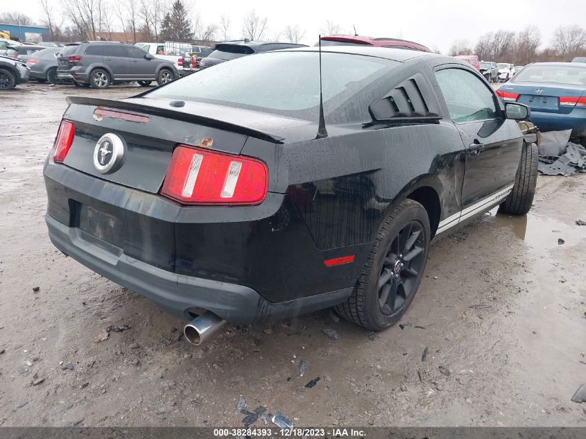 1ZVBP8ANXA5176990 | 2010 FORD MUSTANG