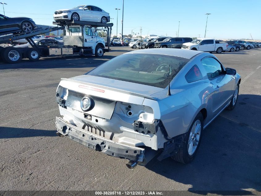 2013 FORD MUSTANG V6 - 1ZVBP8AM9D5255336