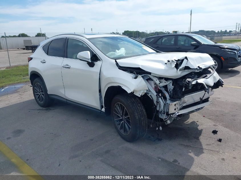 JTJAKCEZ4R2022475 LEXUS NX 350H BASE/350H PREMIUM/350H LUXURY 2024