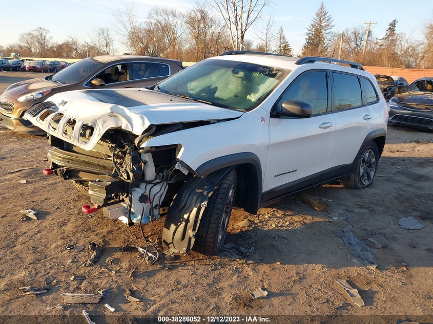 VIN 1C4PJMBX5KD402007 2019 JEEP CHEROKEE TRAILHAWK