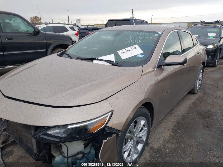 2019 CHEVROLET MALIBU LT - 1G1ZD5ST7KF147733