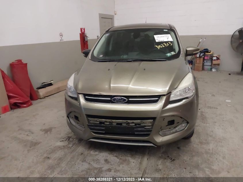 2013 FORD ESCAPE SEL - 1FMCU0H96DUD02813