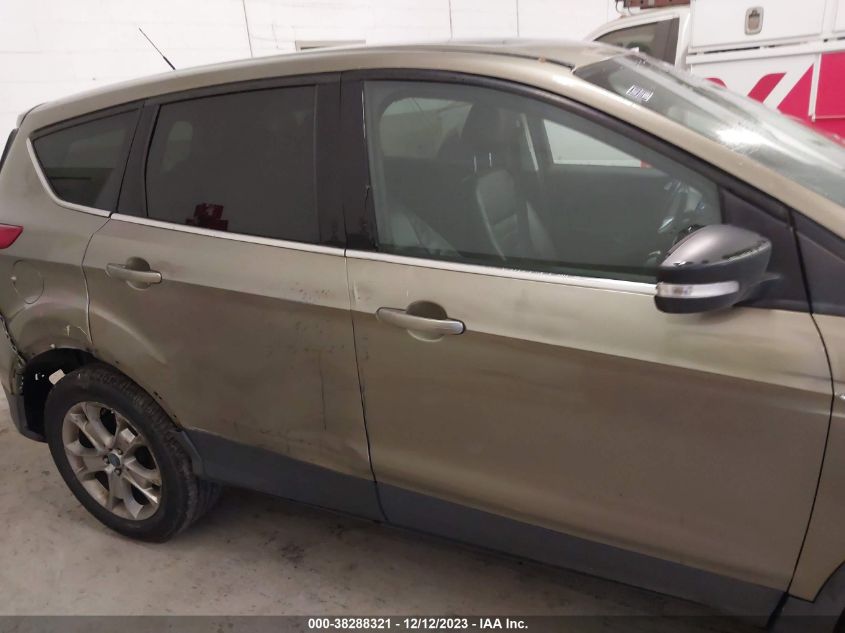 2013 FORD ESCAPE SEL - 1FMCU0H96DUD02813