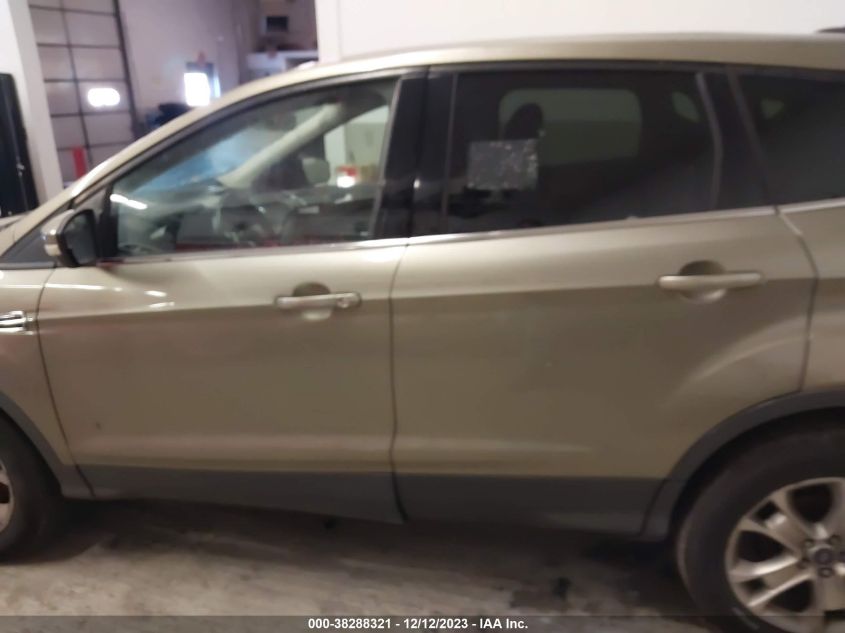 2013 FORD ESCAPE SEL - 1FMCU0H96DUD02813