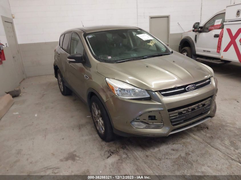 2013 FORD ESCAPE SEL - 1FMCU0H96DUD02813