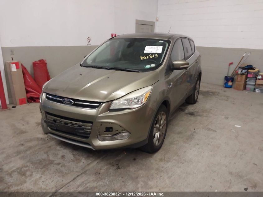 2013 FORD ESCAPE SEL - 1FMCU0H96DUD02813