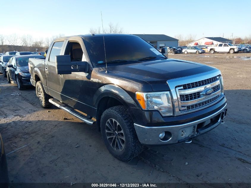 1FTFW1EF7DKD78662 | 2013 FORD F-150