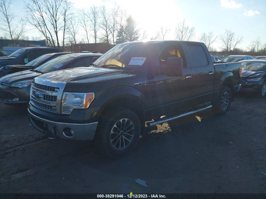 1FTFW1EF7DKD78662 | 2013 FORD F-150