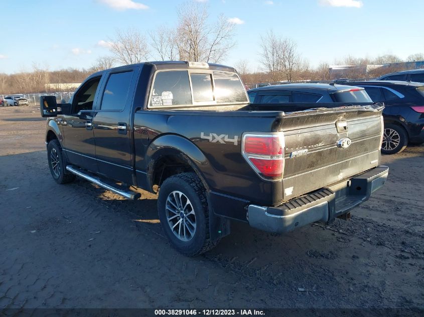 1FTFW1EF7DKD78662 | 2013 FORD F-150